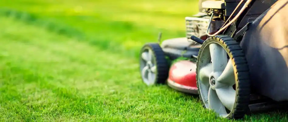 Pittsburgh lawn care made simple - Delbianco Contracting & Landscaping