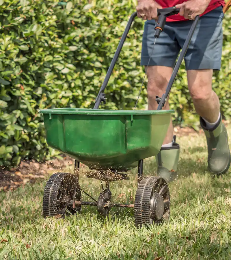Expert Lawn Care in Pittsburgh South Hills - Delbianco Contracting & Landscaping
