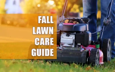 When Should Pittsburgh Homeowners Stop Cutting Their Grass in the Fall?