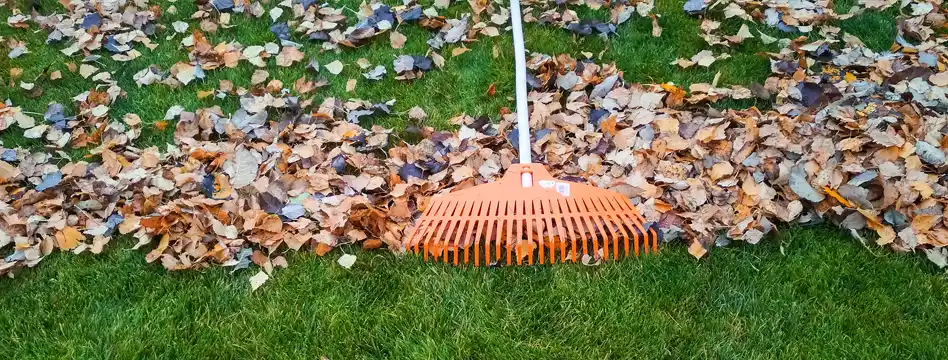 When Should Pittsburgh Homeowners Stop Cutting Their Grass in the Fall?